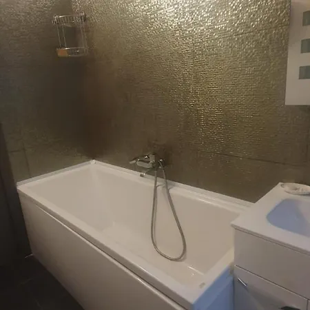 Royal Palace -center By Ale Apartament Bukareszt